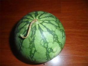 绝绝吃瓜