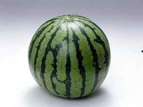 吃高瓜发胖吗