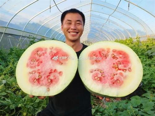 微薄吃瓜,揭秘娱乐圈幕后真相